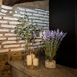 Casa Pitaxan *