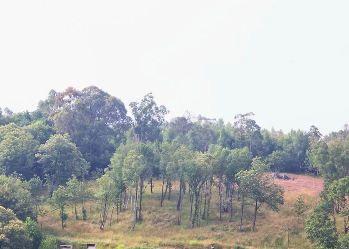 Casa Pitaxan * Melide